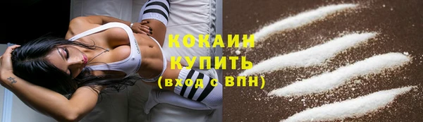мяу мяу мука Аркадак