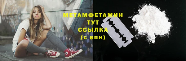 мяу мяу мука Аркадак