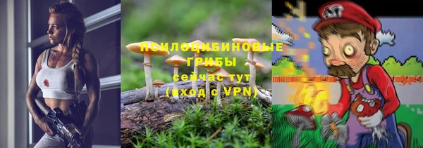 мяу мяу мука Аркадак
